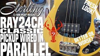 Sterling by Music Man Ray24CA wired in Parallel! Why isn't this stock?- LowEndLobster Fresh Look