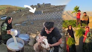 Nomadic Life in Iran ️‍‍‍️ | Family, Shelter & Culture