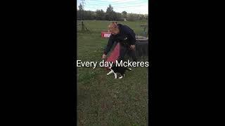 Every day Mckeres