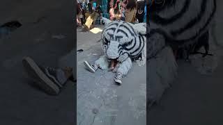 नकली शेर बच्चों को डराता है || fake lion || #shortsvideo