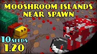 10 Seeds with Mushroom Islands at Spawn | Minecraft Bedrock 1.20 | Mooshroom Island Spawn Seed