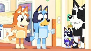 Bluey New Episodes In 2024 Revealed After The Surprise Episode!