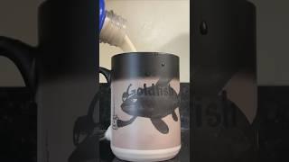 The Joe’s goldfish coffee mug came!