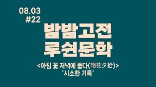 밤밤고전⭐️루쉰문집 22 사소한 기록