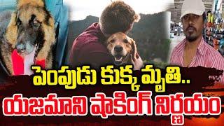 పెంపుడు కుక్క మృ_తి..|  Latest Updates | Telugu Latest News | Dog Lovers | SumanTV Media