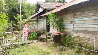 Suasana kampung transmigrasi di Kalimantan