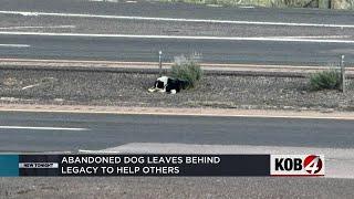 Abandoned dog leaves behind legacy to help others