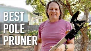 Best Pole Pruner 2023 (Affordable Homeowner Version)