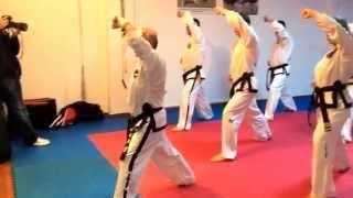 Master Vasilis Alexandris - ITF Taekwon-do technical seminar (Tirana)