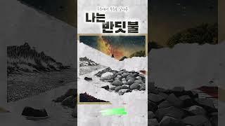나는 반딧불 황가람 #금송카페 #황금추억 #황금카페 #뮤직카페