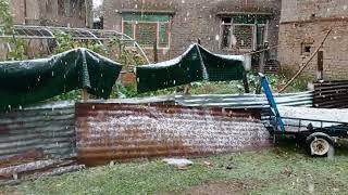 snowfall start in noorabad kulgam ️