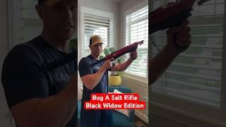 Most Fun Way To Eradicate Bugs In Your Home