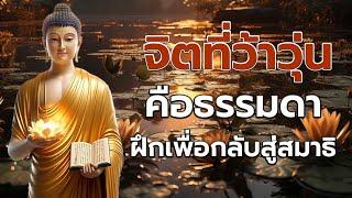 ธรรมะก่อนนอน ปล่อยวาง ธรรมะสอนใจธรรมะเตือนสติได้ข้อคิดดีมากๆฟังแล้วสุขใจคลายกังวลคลายเครียดดี