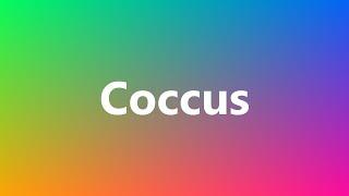 Coccus - Medical Definition