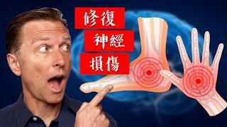 修復神經損傷,最重要的維他命?自然療法,柏格醫生 Dr Berg