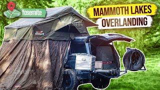 Overlanding, Bears, Yosemite and Mammoth Lakes Part 2