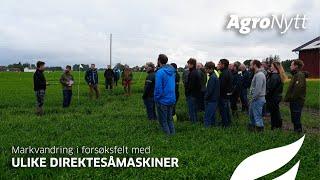 Markvandring i forsøksfelt med ulike direktesåmaskiner