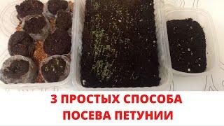 3 ПРОСТЫХ способа посева семян ПЕТУНИИ