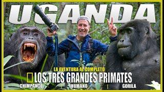 UGANDA | EL REINO DE LOS TRES GRANDES PRIMATES | (La aventura al completo).