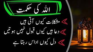 Allah Pak ki Hikmatain | Adab Mini