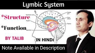 Limbic System Anatomy & Physiology in Hindi | Structure | Function | location |Brain| Nervous System