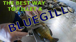 HOW TO CLEAN A BLUEGILL| RIP AND TEAR METHOD??