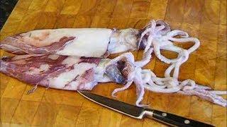 How To Clean, Prepare & Cook Squid In Real Time. #SRP