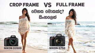 Full Frame Vs APS-C Crop Sensor DSLR මේ දෙකේ වෙනස මොකක්ද? Camera Review (සිංහලෙන්)