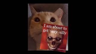 silly kittyren