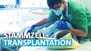 Stammzelltransplantation auf der Onkologische Intensivstation (E8) | SOS Großstadtklinik