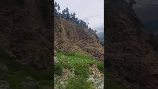 Beautiful Meadows of Kalam Swat Valley | KPK Pakistan | #Shorts