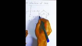 DNA chemical structure