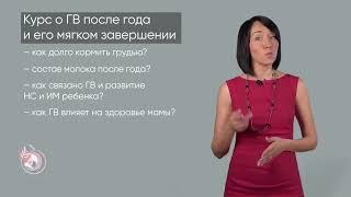 Курс "Грудное вскармливание после года и мягкое отлучение" Марины Ступиной. Онлайн-школа "Принятие"