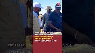 Team châu Phi của Quang Linh được Bộ trưởng Nông nghiệp Angola tới tận nơi mua gạo