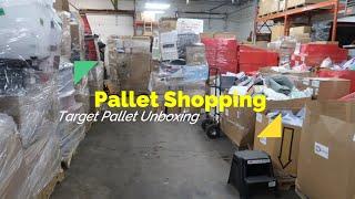 Two Pallet Liquidation Stores = One Target Pallet | Target Pallet Unboxing