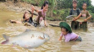 Full video: Fish harvesting journey of a mother and her two small children. @Nhung.Newlife