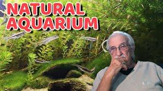 The Simple Secret to Create the Very Best Natural Aquarium