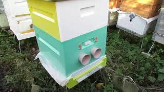 осенние работы с пчелами - пополнение кормовых запасов в зиму в октябре и ноябре