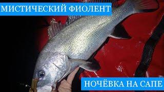 Лето в СЕВАСТОПОЛЕ! - Рыбалка и охота на Фиоленте, скалы Орест и Пилат и ночевка на Яшмовом пляже!