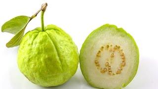 Benefits of Guava | Health Tips