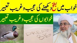 Strange interpretation of seeing duck in dream | Khwab may batakh deknay ki Tabeer | Khwab ki Tabeer