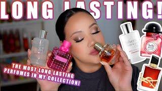 MY TOP LONG LASTING PERFUMES IN MY COLLECTION️ | THESE FRAGRANCES LAST FOREVER ON ME! | AMY GLAM 