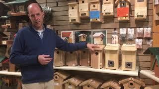 Bird House Basics