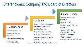 What is the relationship between Shareholders and Board of Directors