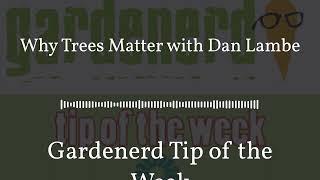 Gardenerd Tip of the Week - Why Trees Matter with Dan Lambe