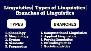 Linguistics and Its Types in English| Branches of Linguistics in English| Linguistics Basic Concepts