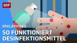 Wie funktioniert ein Desinfektionsmittel? | Erklärvideos für Kinder | SRF Kids – Kindervideos