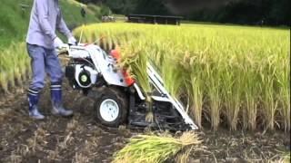 kubota RJN55 オートバインダーで稲刈りJapanese harvesting of the rice