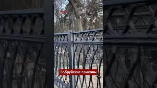 В #Бобруйск напротив кладбища разместили банер "город для жизни" #беларусь #кладбище #прикол #юмор