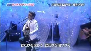 True Love (Fuji Fumiya)